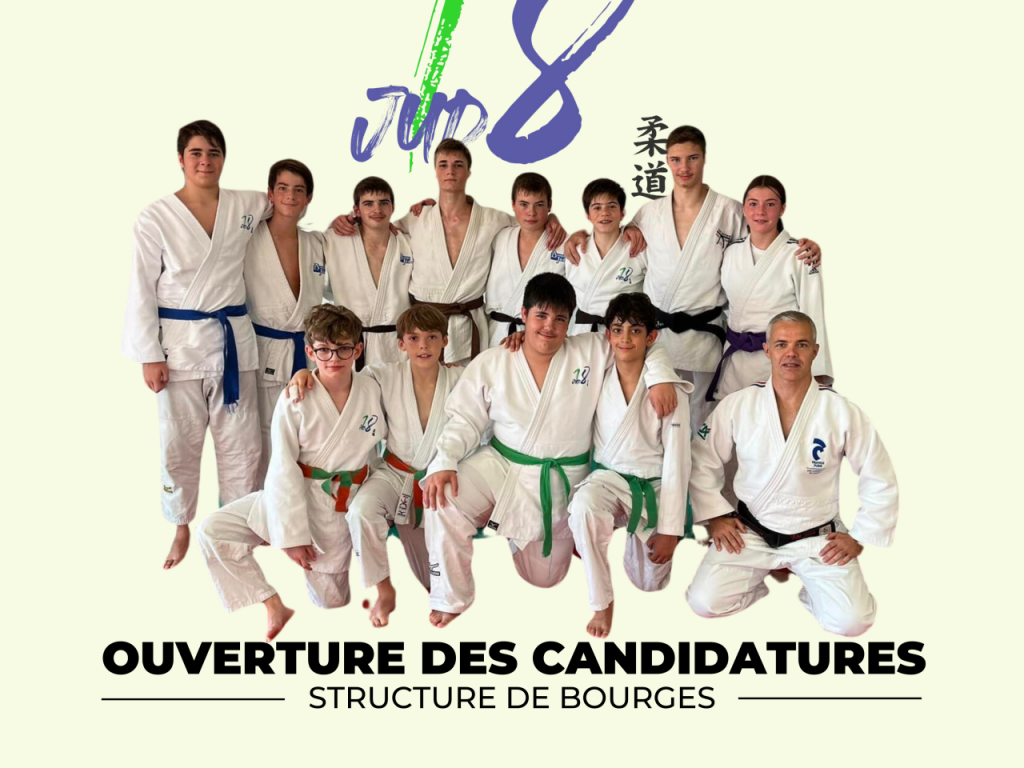 Image de l'actu 'Candidatures Section d'Excellence Sportive à Bourges'